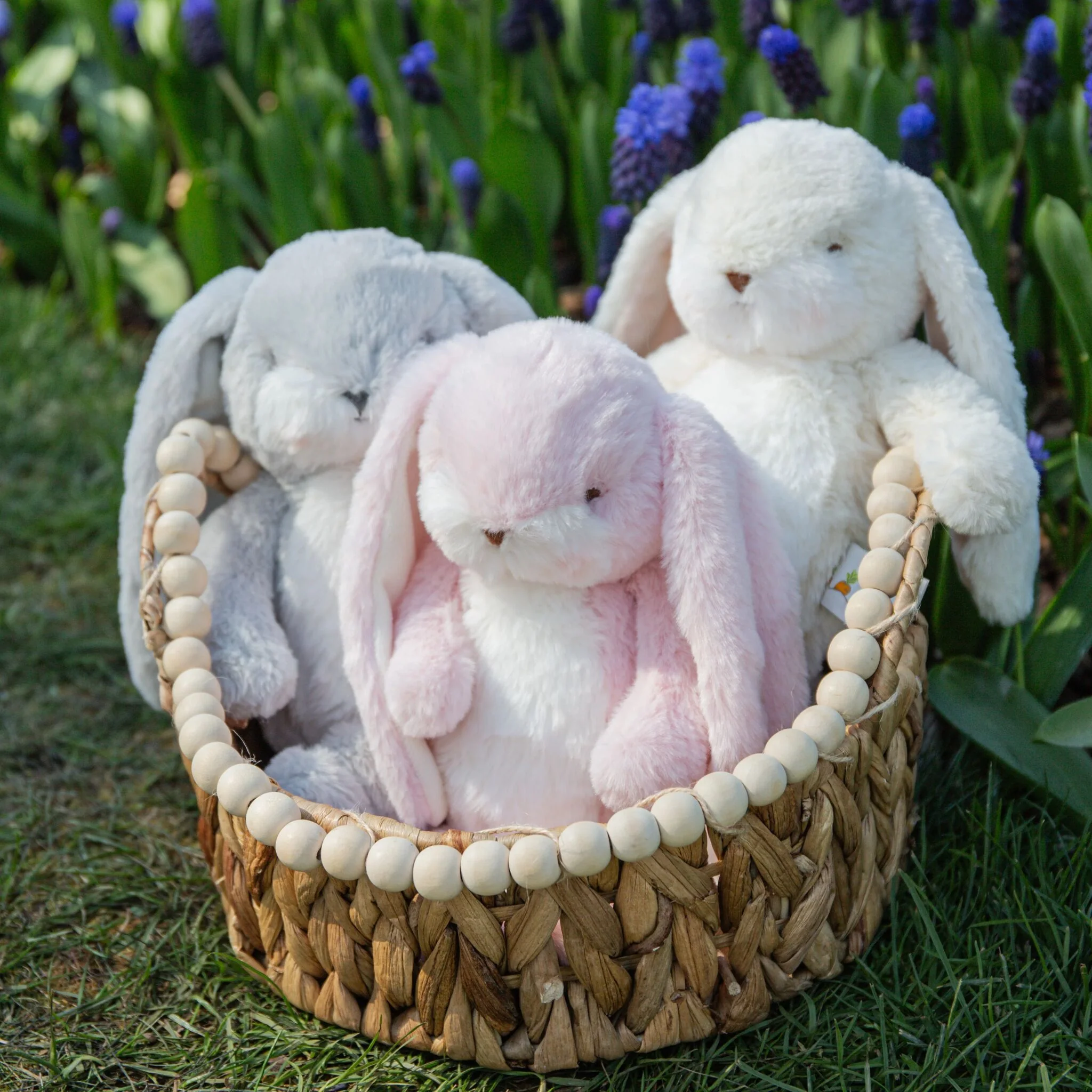 Wee 10" Floppy Nibble Bunny - Pink - Image 2