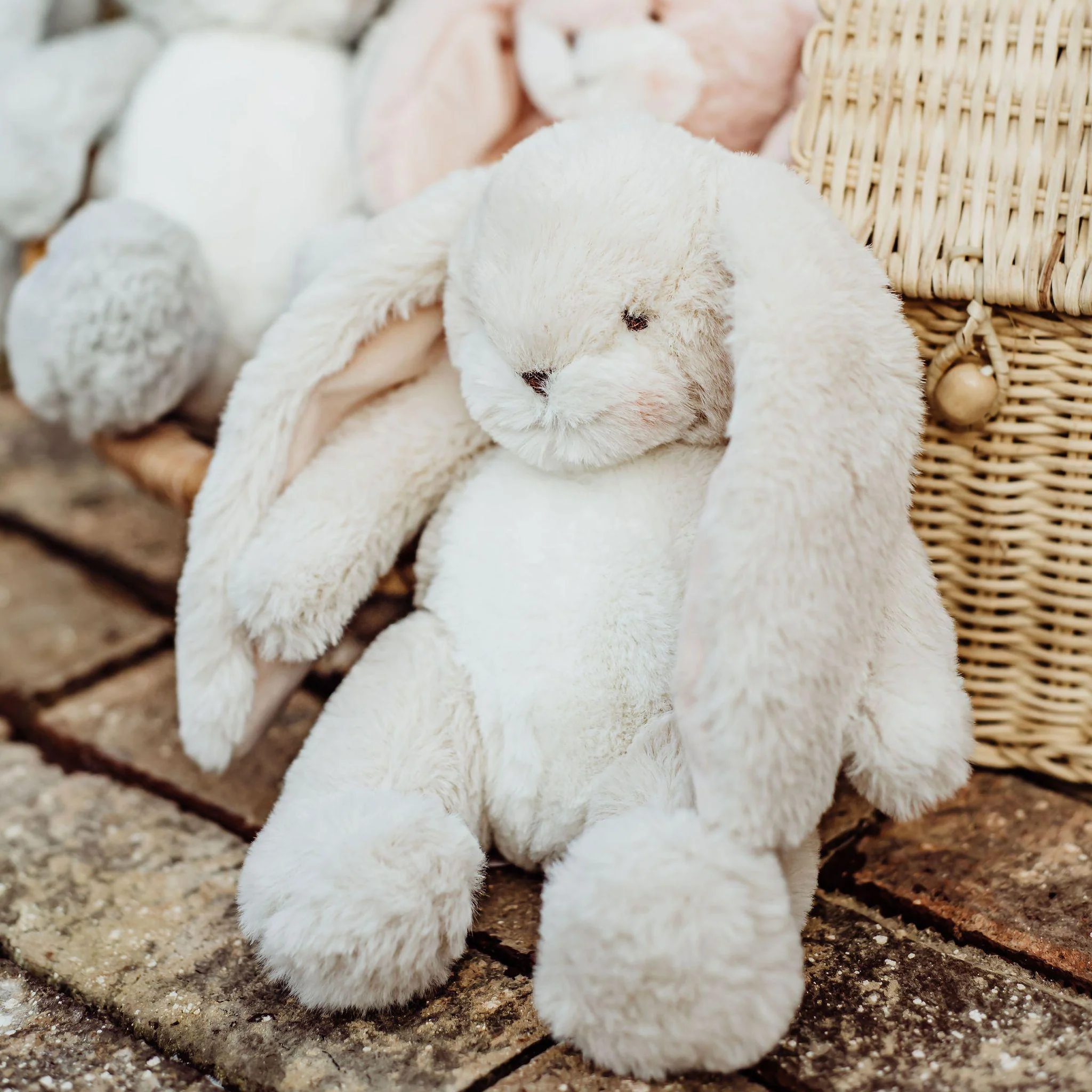 RETIRED - Wee Nibble  8" Cream Bunny - Image 2