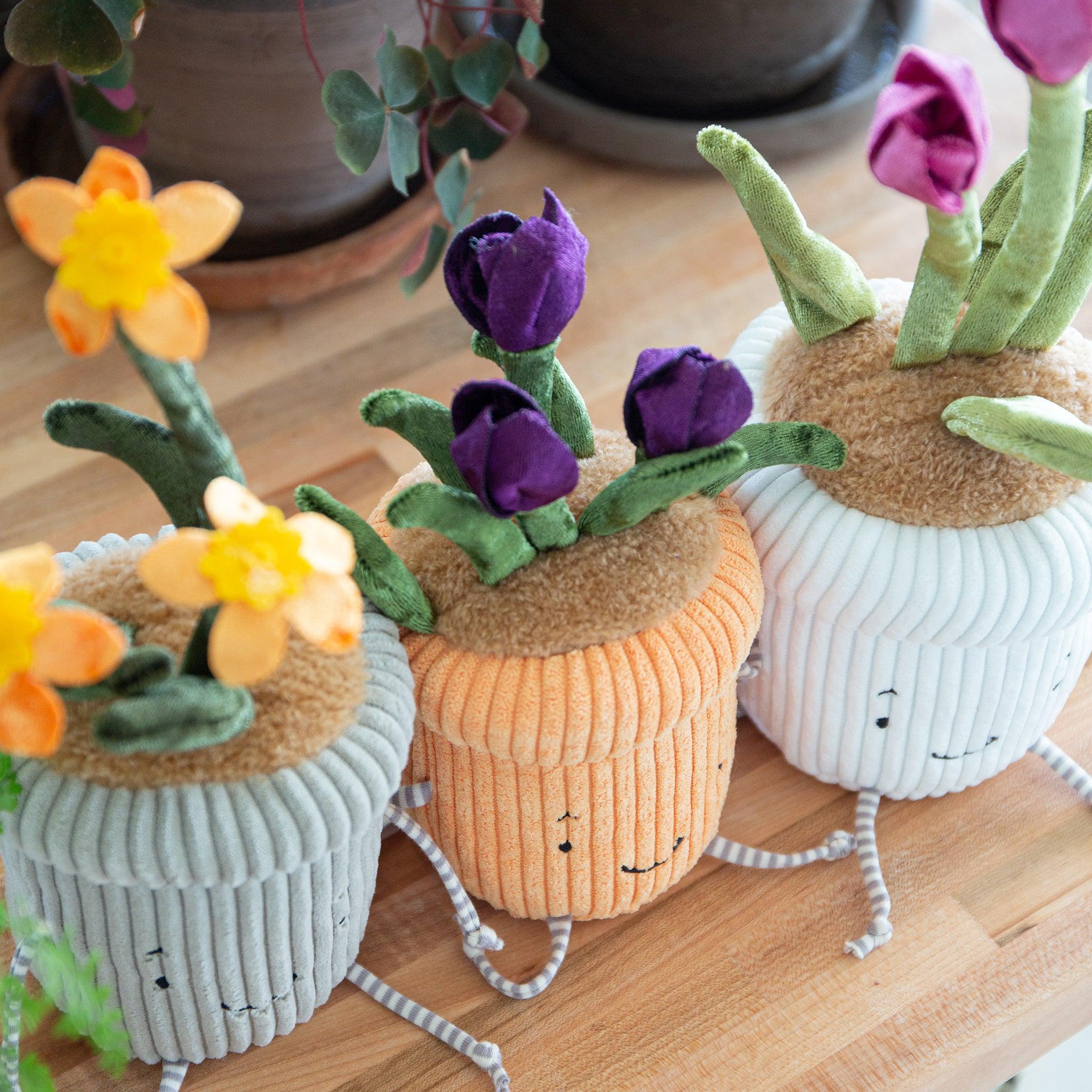 RETIRED - Window Sill-ies Crocus - Image 4