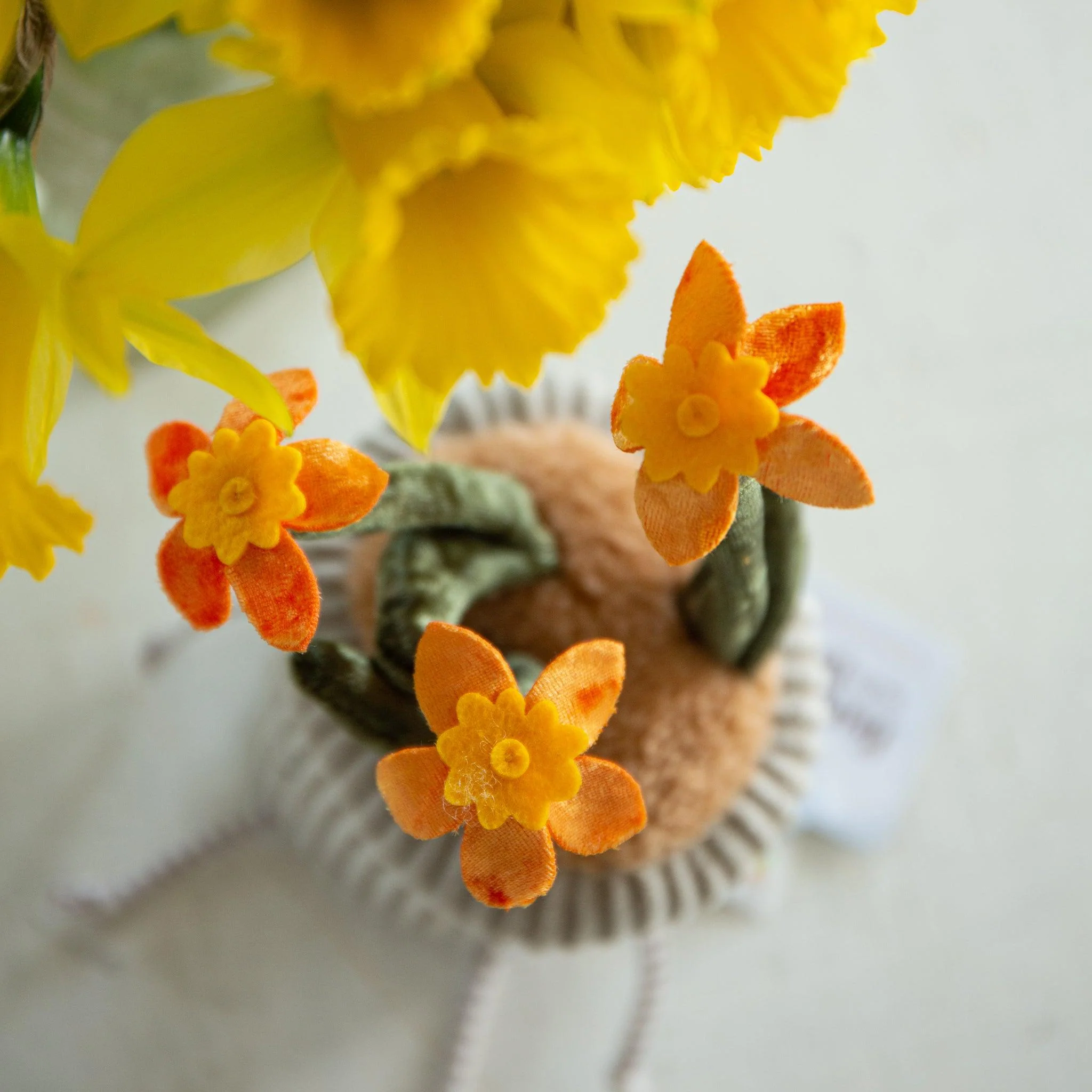 RETIRED - Window Sill-ies Daffodil - Image 3